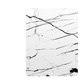 iPad Pro 12.9" (2022, Gen 6, M2) skins