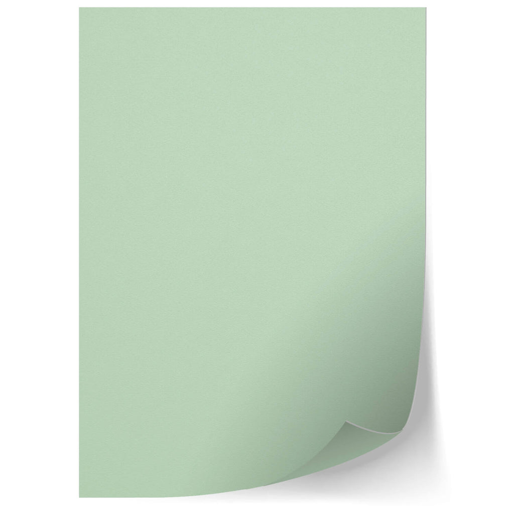 Textured matt mint skins 430mmx300mm